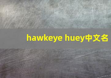 hawkeye huey中文名